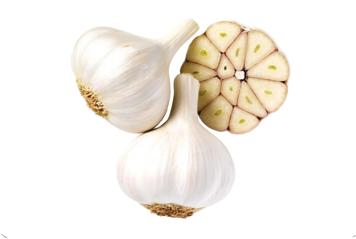 GARLIC